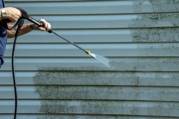 Best Driveway Pressure Washing  in Mountain Lodge Park, NY